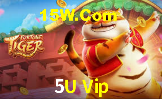 Interface Premium 5U Vip