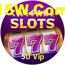 Explore as vantagens do 5U Vip: serviço profissional e confiabilidade