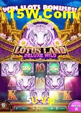 Ofertas Exclusivas 5U Vip